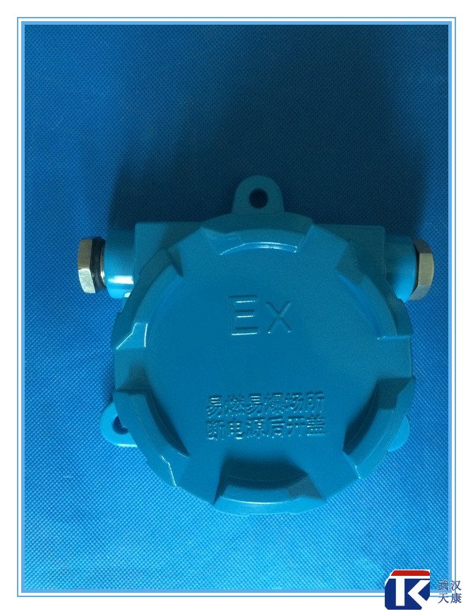 壁掛式防爆熱電阻/pt100、4-20mA輸出