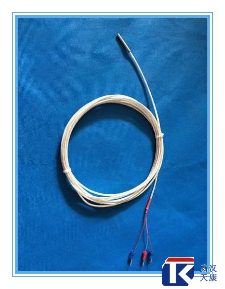 補償導線式熱電阻/WZPT-104、025/pt100熱電阻